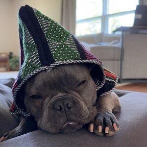 Colorful Striped Hooded Poncho for Dog